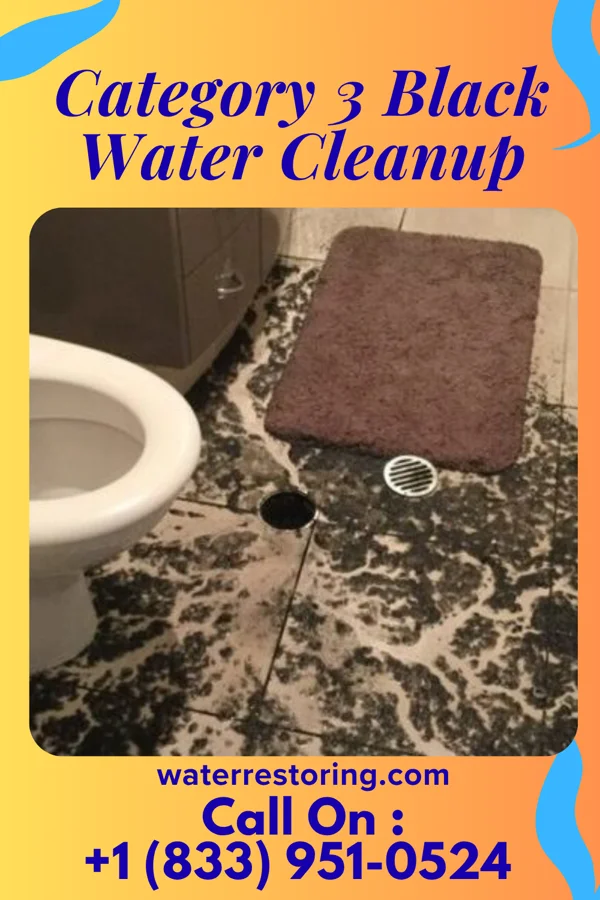 Category 3 Black Water Cleanup in Manville, WY